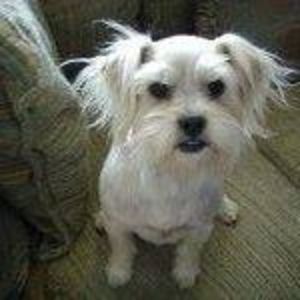 Meet your Posher, Craft